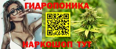 ПСИЛОЦИБИНОВЫЕ ГРИБЫ Новокубанск