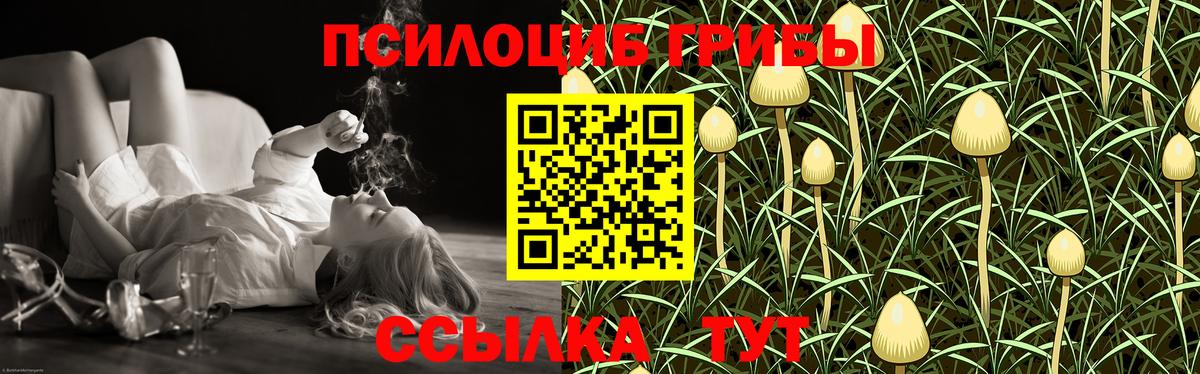 Сунжа  Галлюциногенные грибы ЛСД  Вход с VPN 